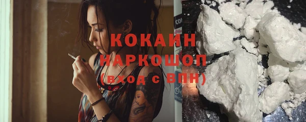 apvp Алзамай