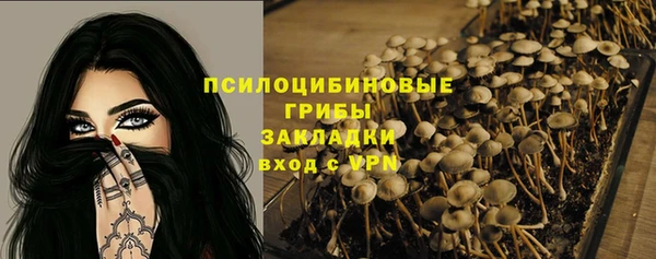 ПСИЛОЦИБИНОВЫЕ ГРИБЫ Пролетарск