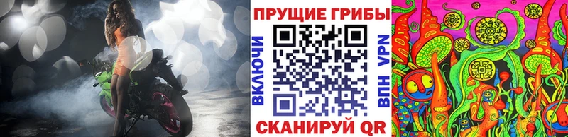 Псилоцибиновые грибы Cubensis  где купить наркотик  МЕГА tor  Кириши 