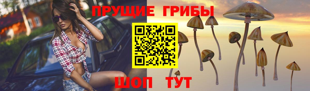 Галлюциногенные грибы GOLDEN TEACHER Кириши