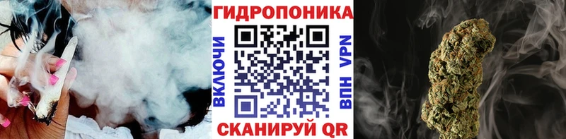 что такое Кириши Каннабис SATIVA & INDICA